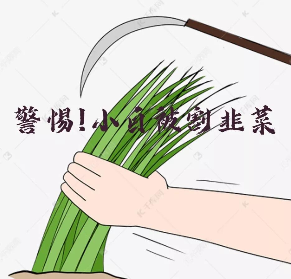 警惕！小白被割‘韭菜’，我经历的自媒体培训课经历分享……