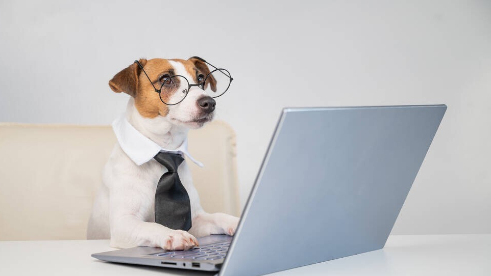 7大热门领域，天天高收益！小白入门自媒体必看