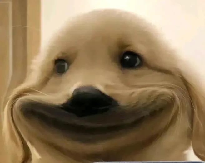 当下的自媒体时代，现在加入还来得及吗？