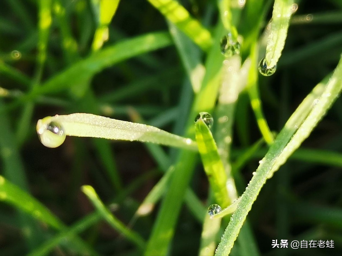 自媒体意思意思