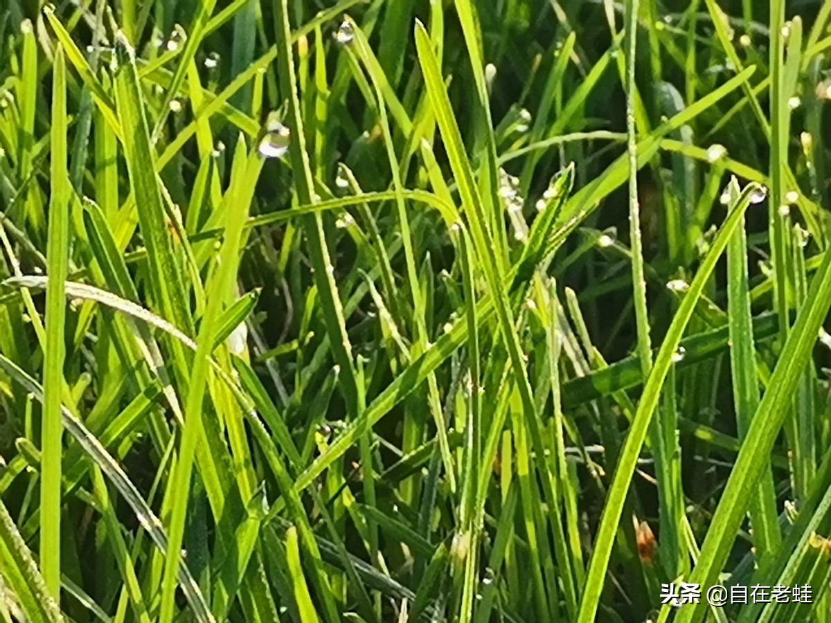 自媒体意思意思