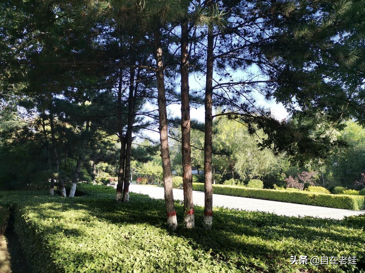 自媒体意思意思