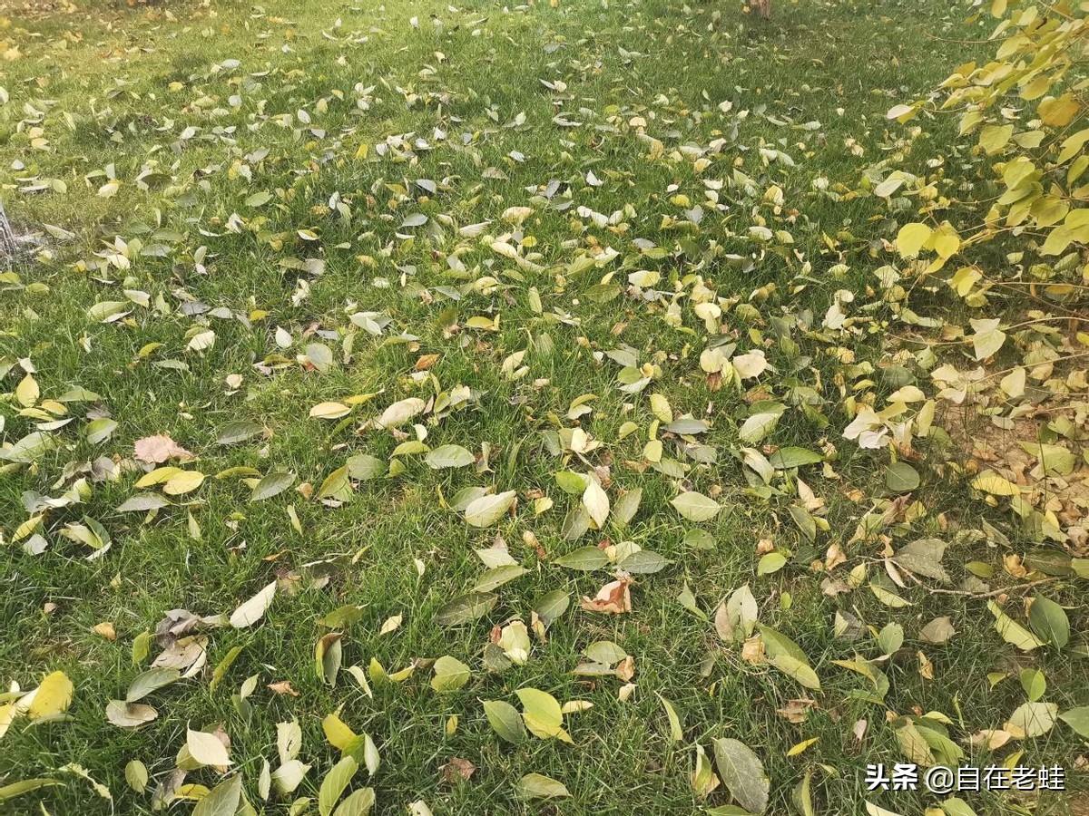 自媒体意思意思