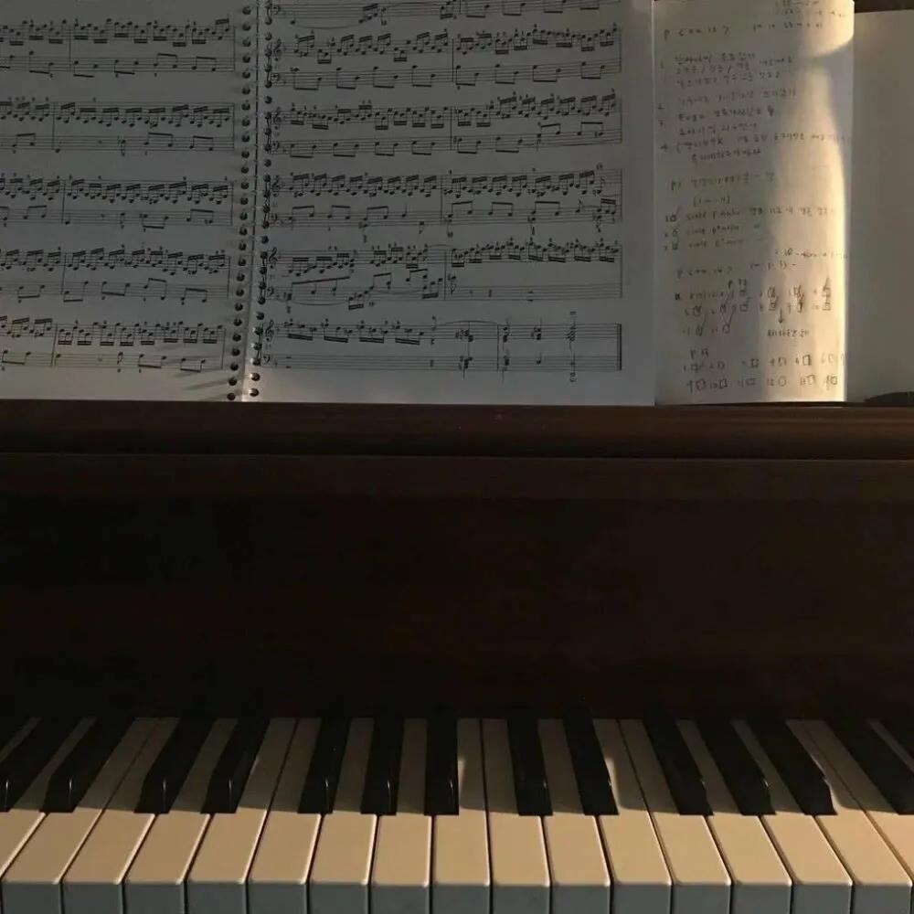 什么是自媒体平台?哪些平台适合初学者做短视频搬运?