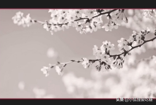 å‰ªæ˜ è°ƒè‰²å¹²è´§æ•™ç¨‹ï¼ˆå…¨é›†ï¼‰ï¼šè‡ªåª’ä½“æ–°äººä¸€å®šè¦�çŸ¥é�“çš„è°ƒè‰²æ–¹æ³•