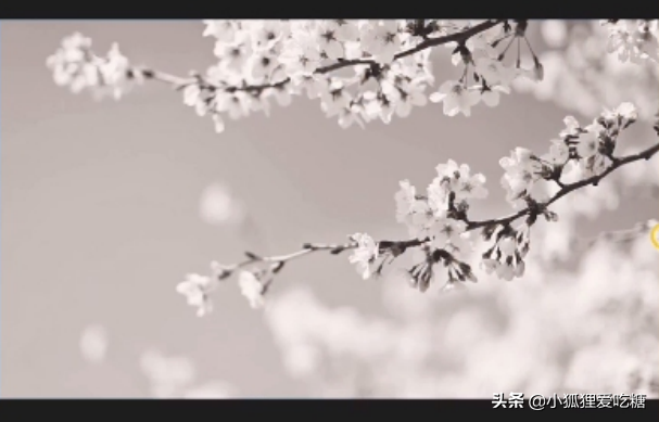 å‰ªæ˜ è°ƒè‰²å¹²è´§æ•™ç¨‹ï¼ˆå…¨é›†ï¼‰ï¼šè‡ªåª’ä½“æ–°äººä¸€å®šè¦�çŸ¥é�“çš„è°ƒè‰²æ–¹æ³•