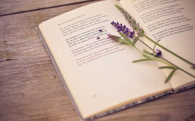 如何撰写高质量的自媒体文章？正确玩法教给你，新手必看