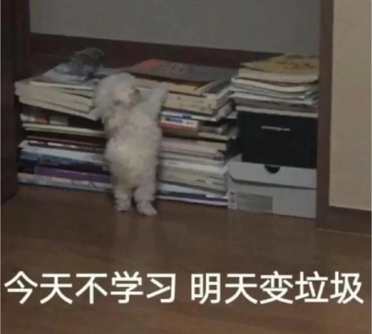 自媒体专用术语