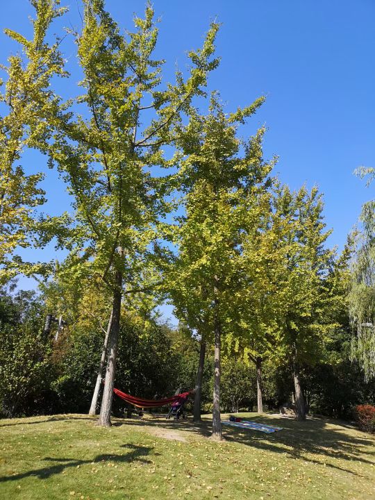 自媒体组合推广方法(适合宝妈大学生兼职摊主、有空有闲的赚钱)