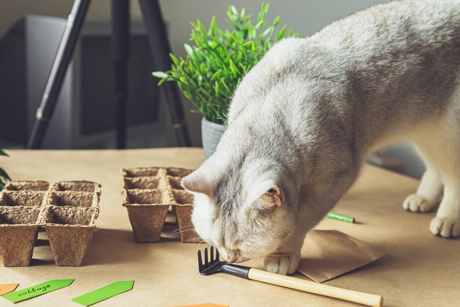 想做自媒体运营却不会写作？4个珍藏的运营技巧