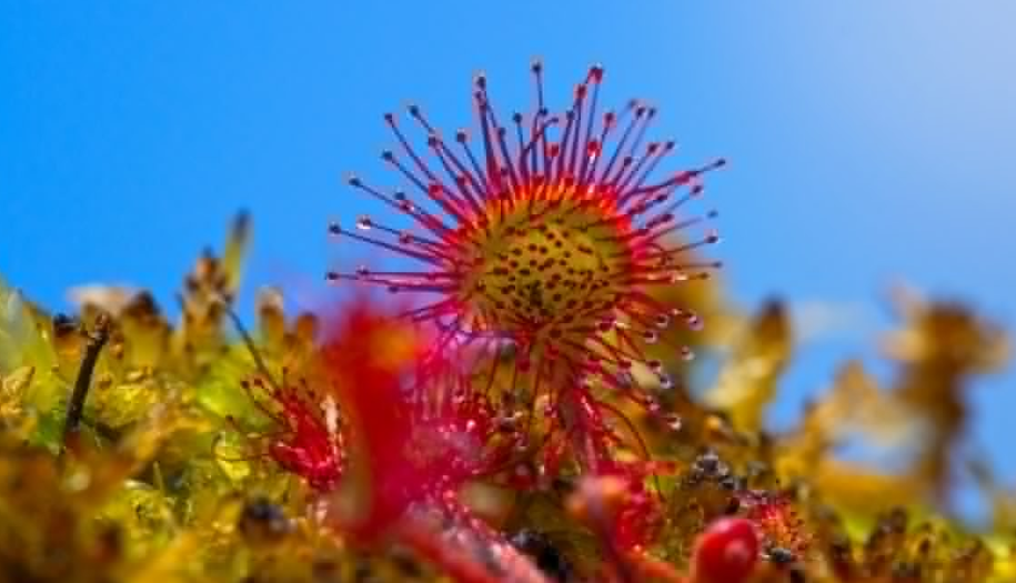 自媒体人应该如何运营好自己的账号？