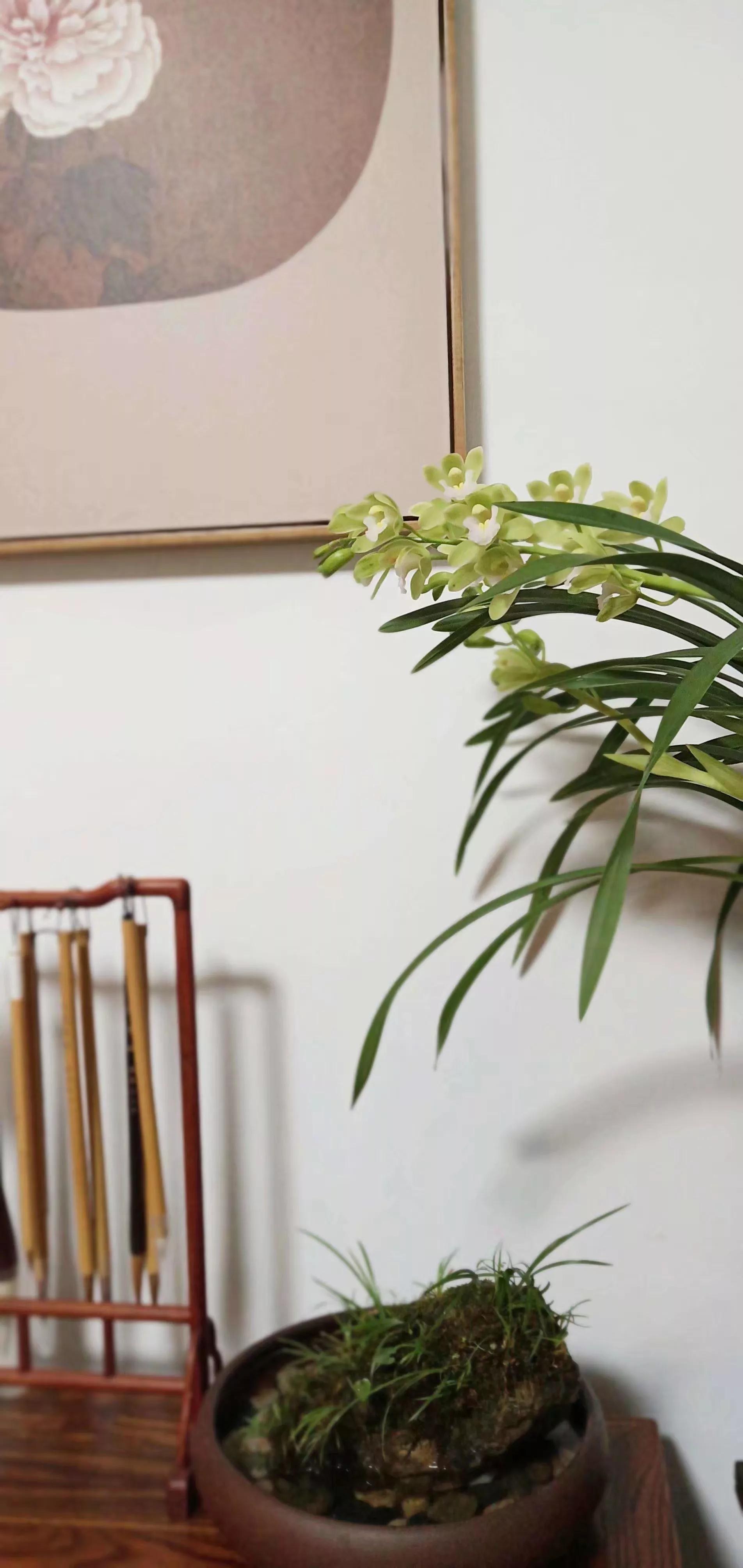 第6讲：要想做好自媒体，怎么起昵称才能涨粉快？