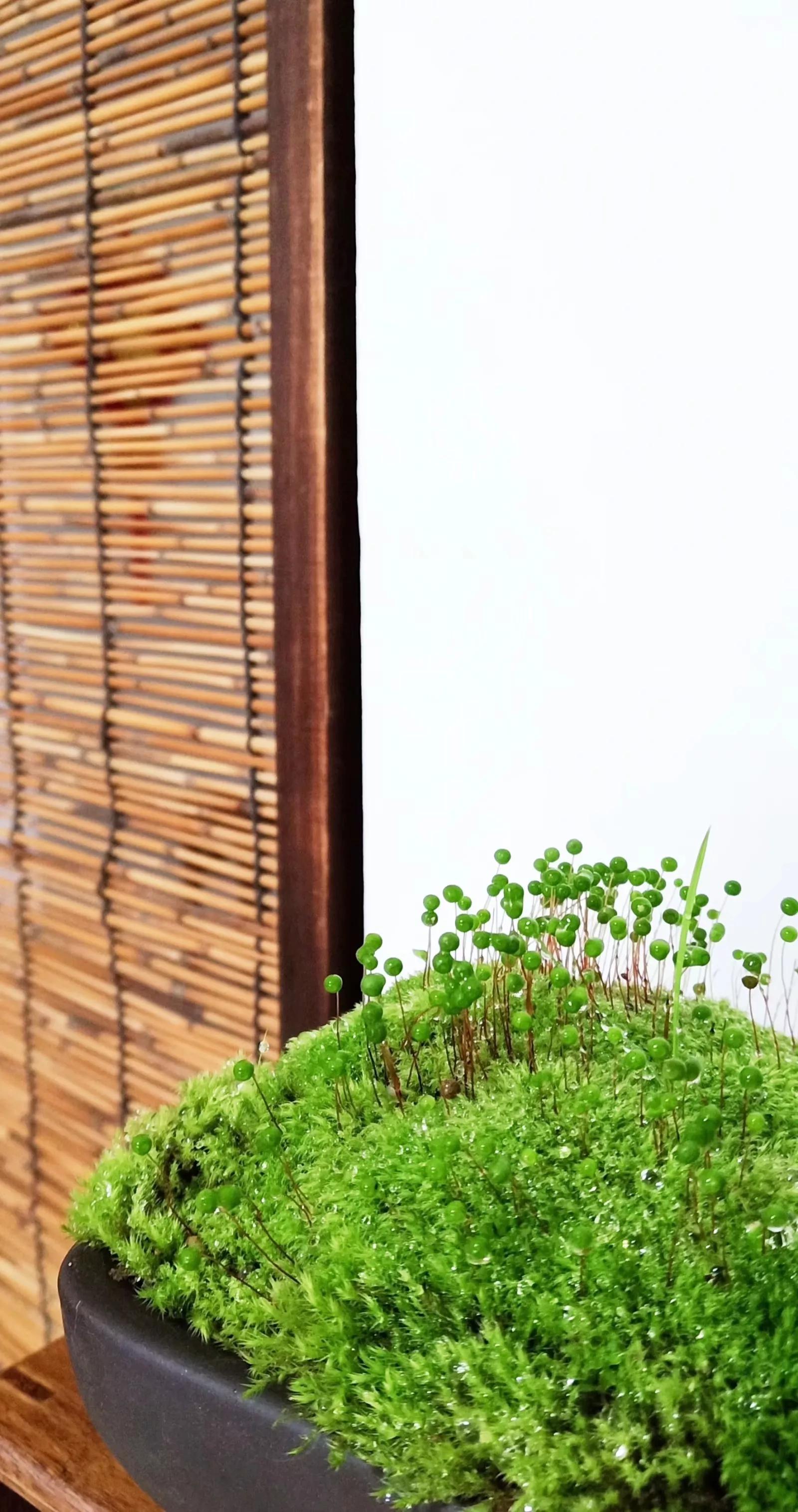 第6讲：要想做好自媒体，怎么起昵称才能涨粉快？