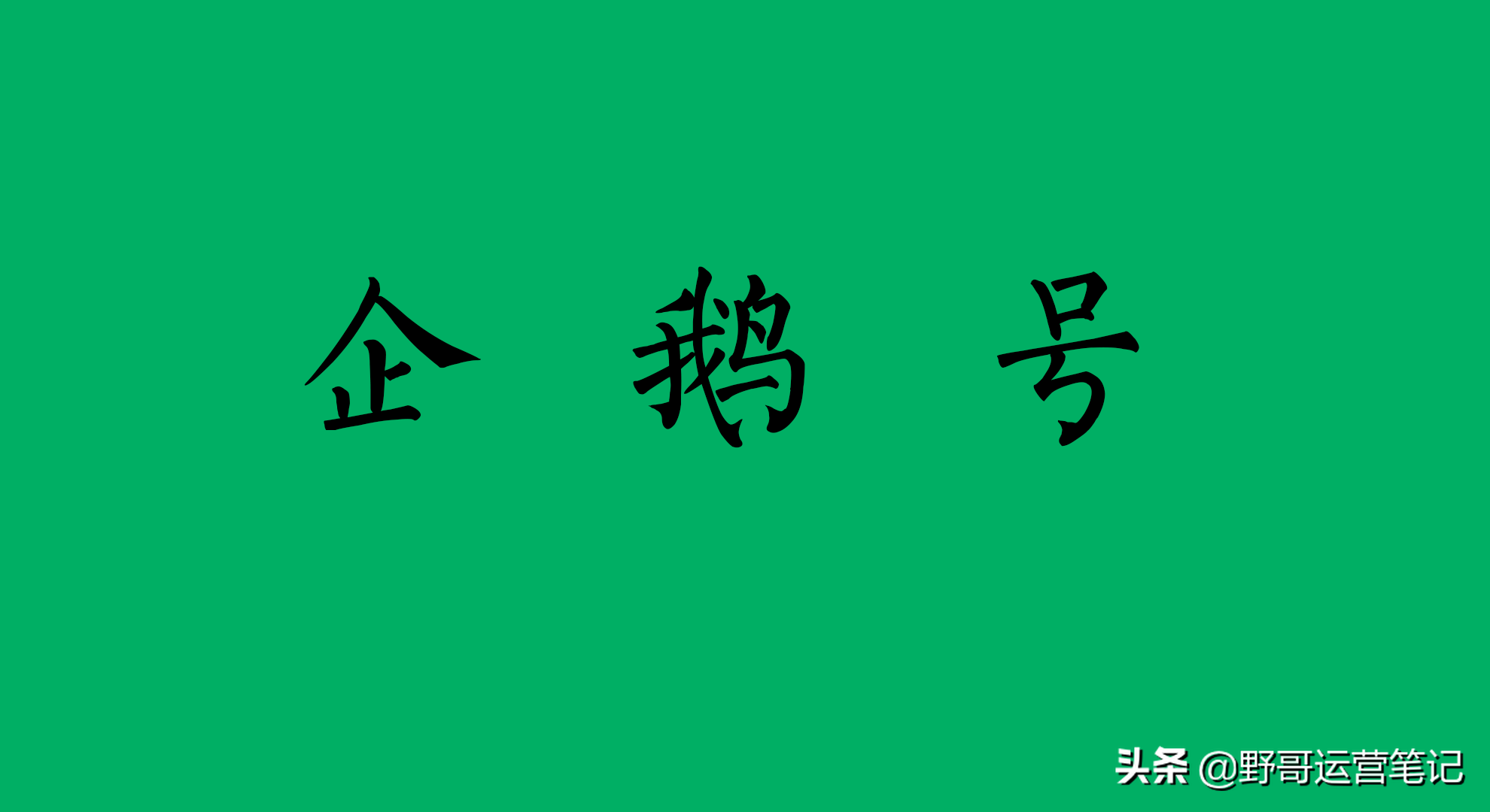 90%自媒体新手都在做的4大高收益自媒体平台,做了让你收益翻几番