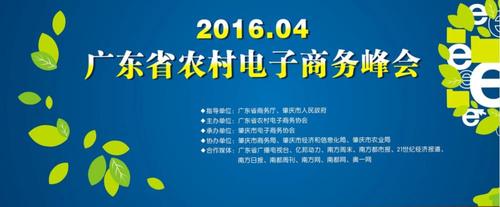 2016农村电商示范县