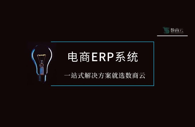 erp电商系统