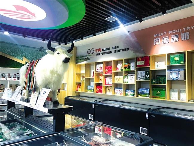 阿里巴巴跨境电商初级人才认证