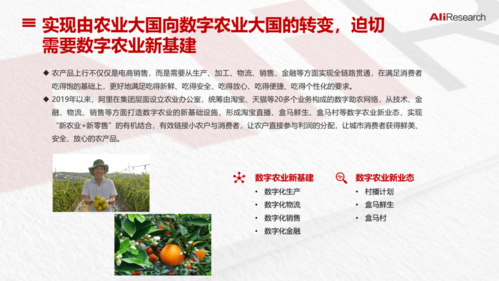 阿里巴巴农业电商