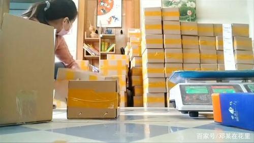 贝多罗跨境电商赚钱吗