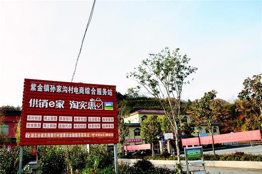 大槐树农村电商加盟