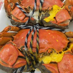 大学生电商卖螃蟹作文