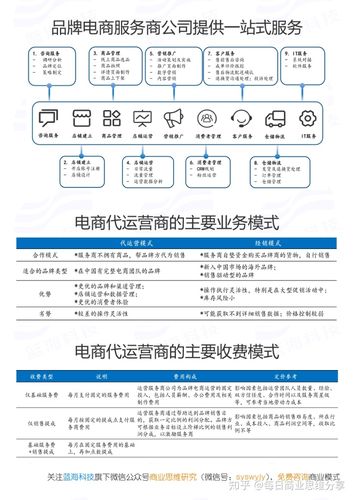 电商带运营公司