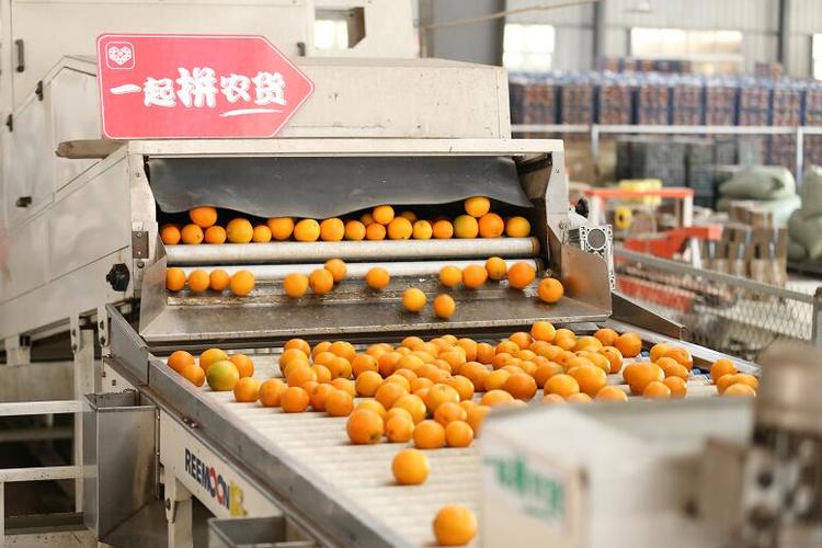 电商农产品上行