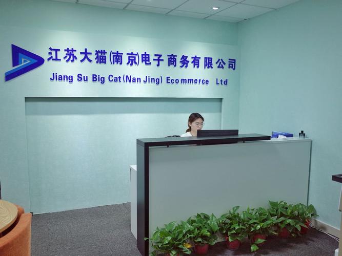 电商平台运营公司