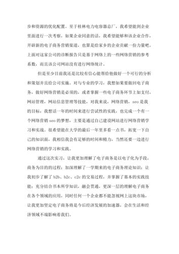电商实习报告