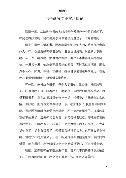 电商实习周记