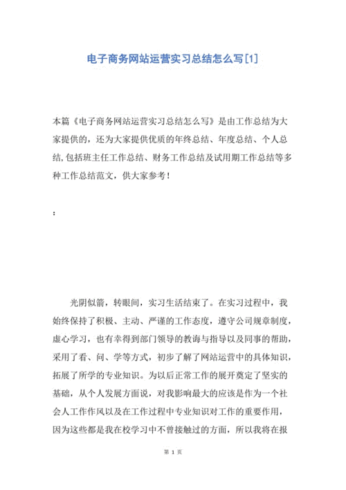 电商实习总结