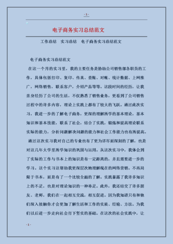 电商实训报告