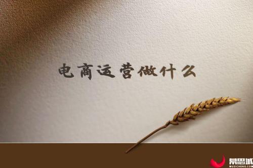 电商是做什么的