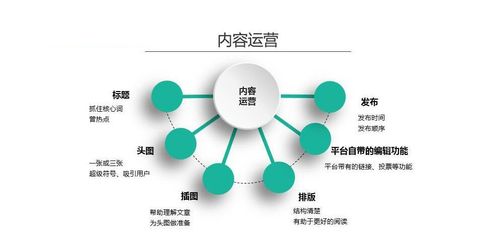 电商运营包括哪些方面