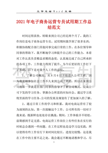 电商运营工作总结