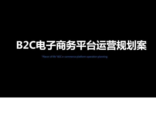 电商运营公司排名