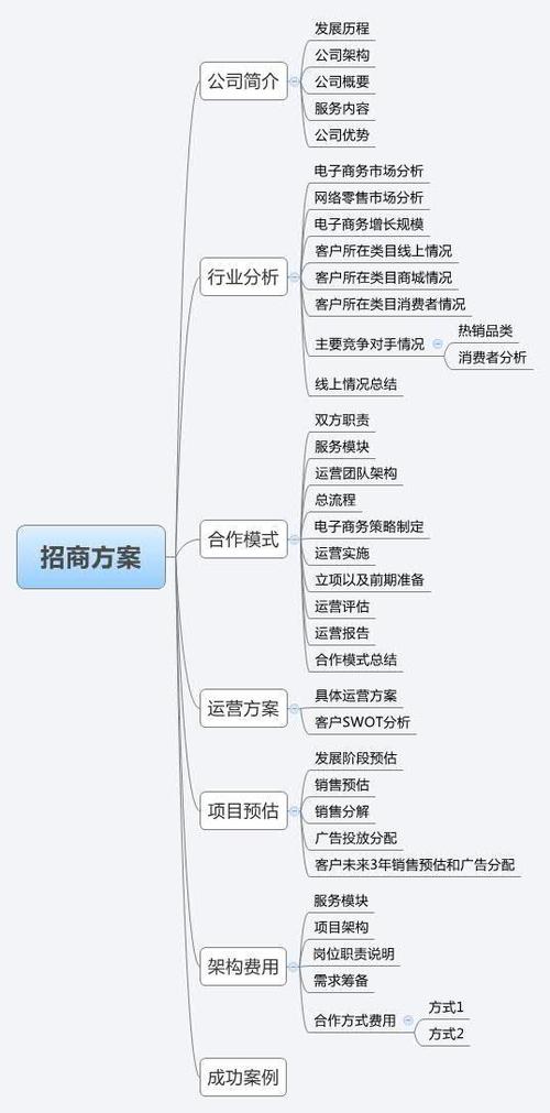 电商运营计划书