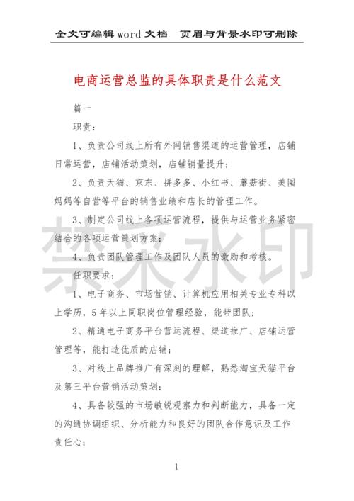 电商运营职责