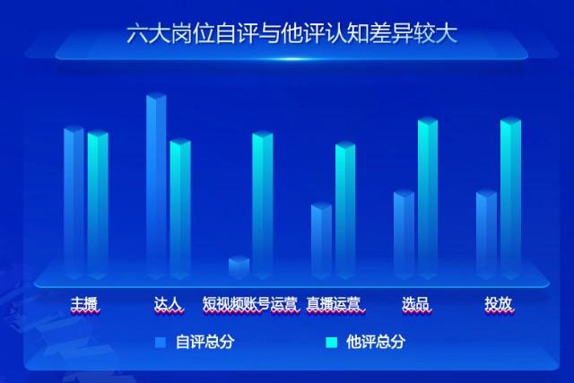 电商运营自我评价