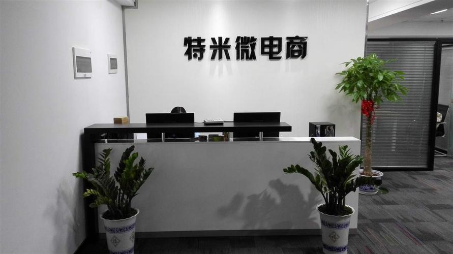 电商注册什么类型公司