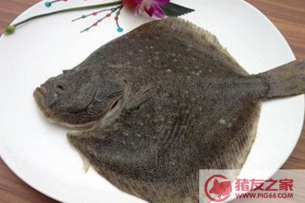 多宝鱼电商是什么