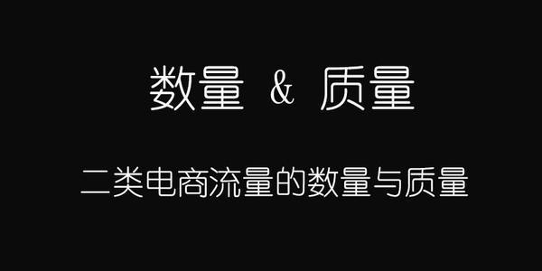 二类电商建站