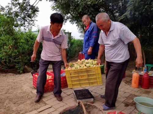 果农与电商怎么合作