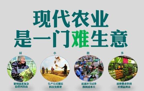 海南农产品电商