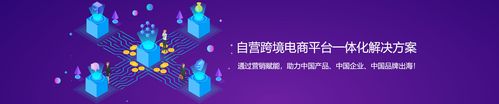 跨境电商独立站