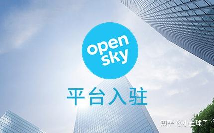 跨境电商平台开店