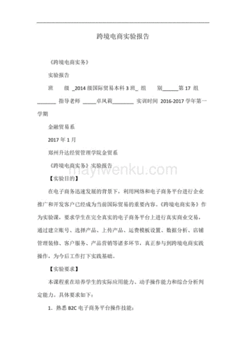 跨境电商实训总结