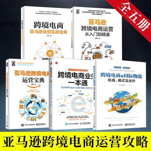 跨境电商运营模式