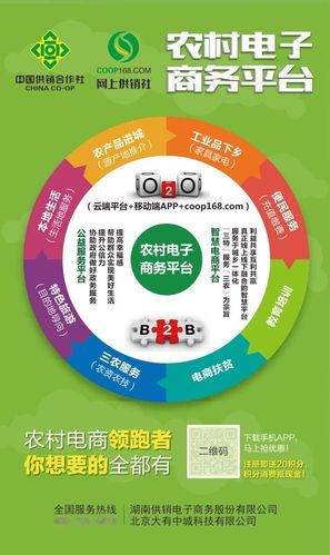 农村电商的特点
