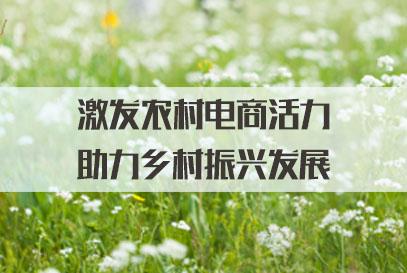 农村电商的特点